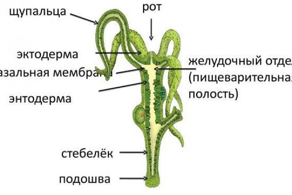 Mega dark ссылка